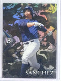 DELETE 26903 2014 Bowman Platinum Camo Refractor Gary Sanchez rc rookie #D03/15 #6