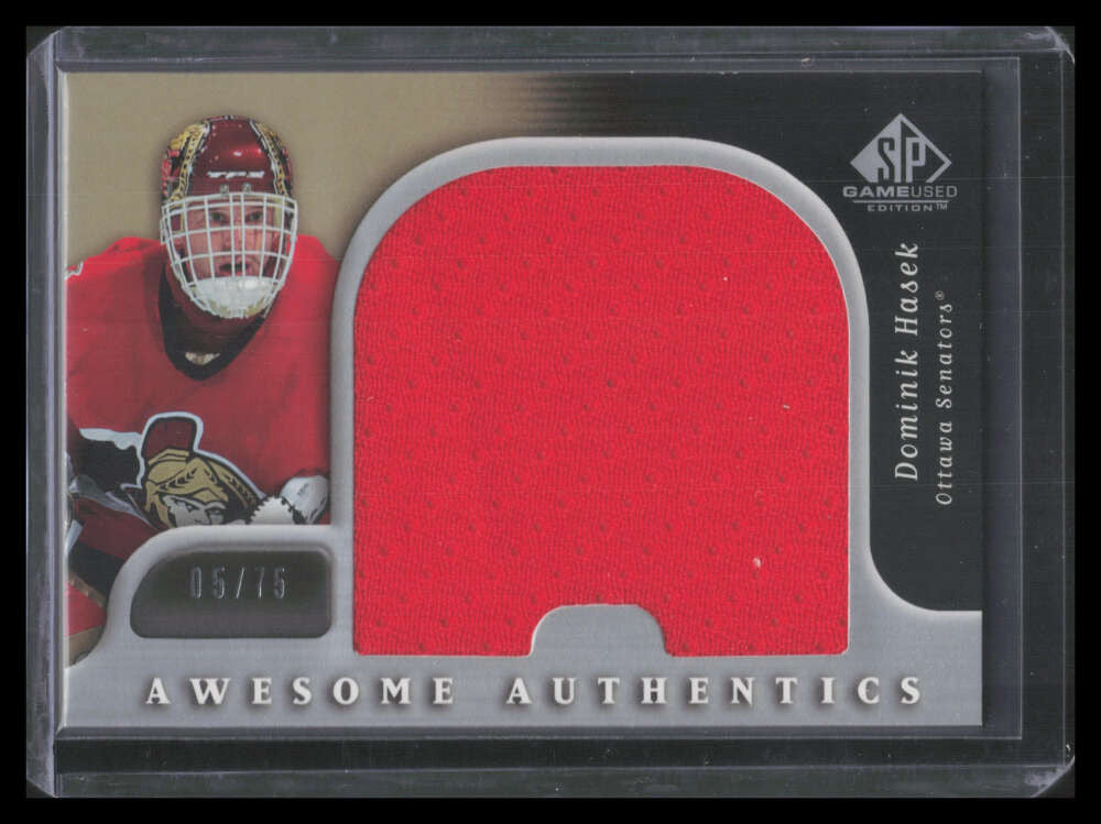 DELETE 131269 2005-06 SP Game Used Awesome Authentics AAHK Dominik Hasek Jumbo Jersey 5/75