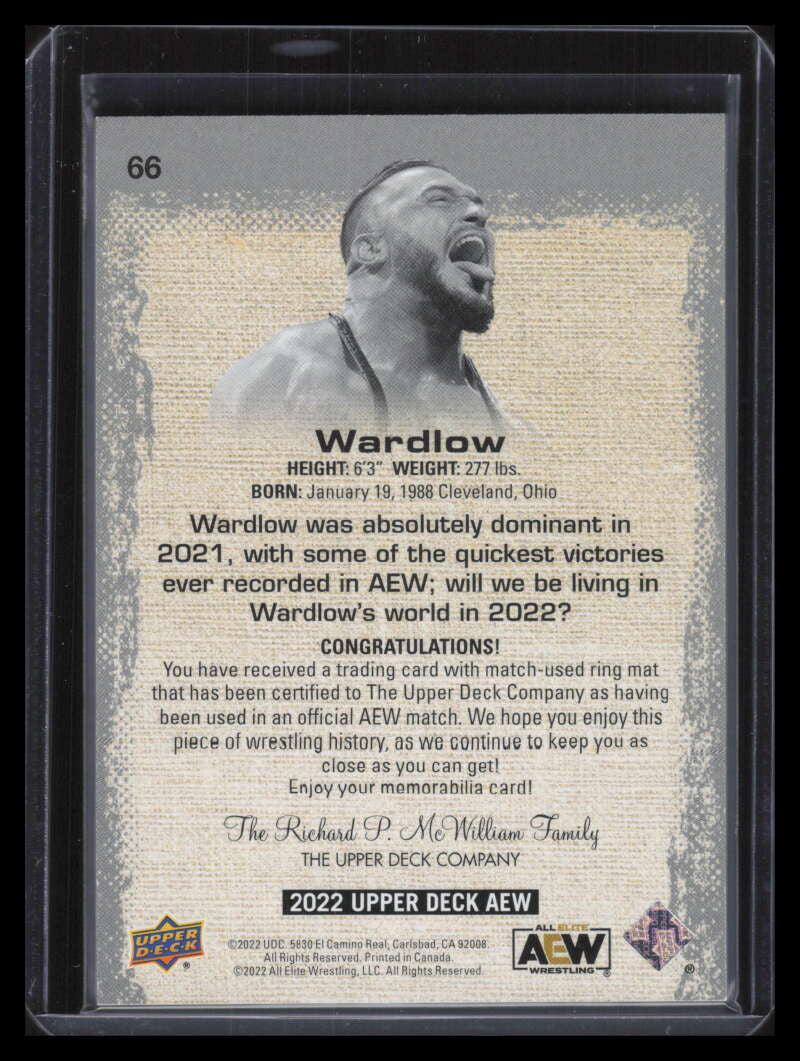 2022 Upper Deck AEW Mat Relics Red 66 Wardlow Mat 47/50