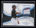 2020 Immaculate Collection Materials 18 Tim Anderson Laundry Tag Patch 1/5