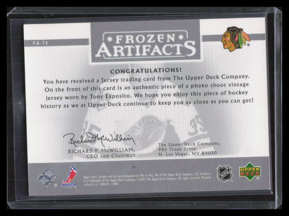 2005-06 Artifacts Frozen Artifacts Silver FATE Tony Esposito Jersey 10/50