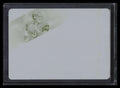 2016 Prime Signatures Rookie Cuts Flashbacks Printing Plate Carson Palmer 1/1