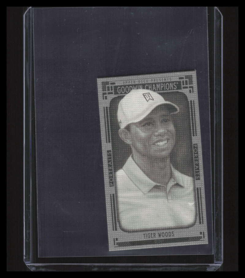 DELETE 161055 2015 Upper Deck Goodwin Champions Mini Canvas 143 Tiger Woods /99