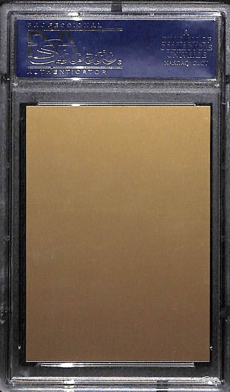 DELETE 171935 1982 Hall of Fame Plaque Metal Metallic HOF Luke Appling PSA/DNA Certified Auto