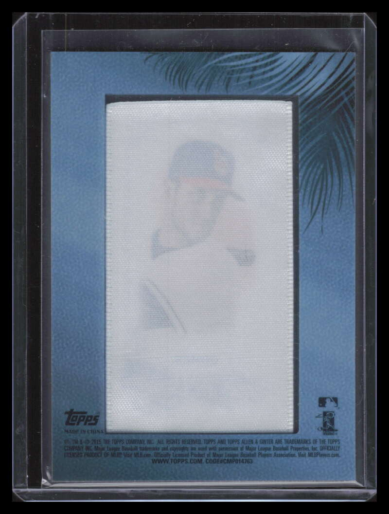 2015 Topps Allen and Ginter Mini Framed Silk 136 Yan Gomes 10/10