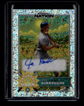 2025 Leaf Nation Saturday in the Park Sparkles Silver Jeff Burroughs Auto 1/15